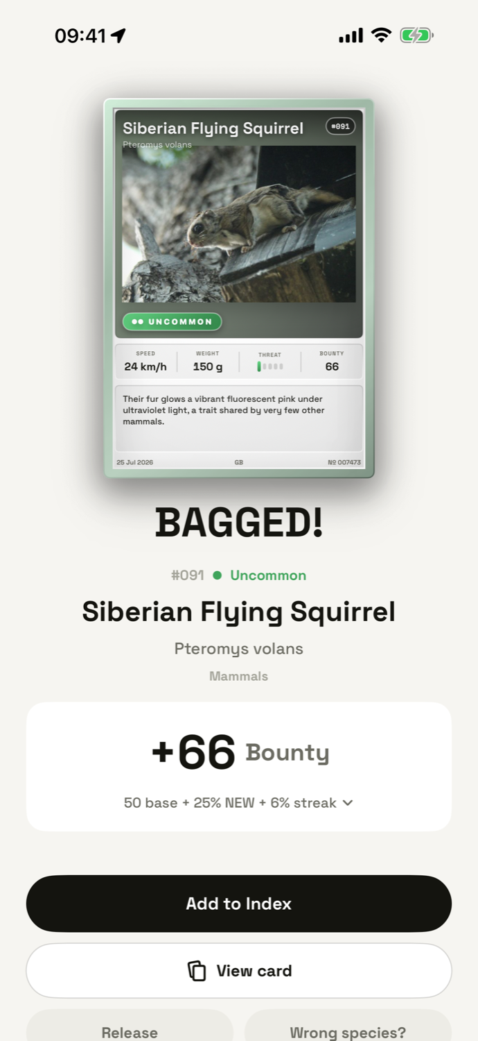 The BAGGED! verdict screen, showing a new card and a bounty of +66