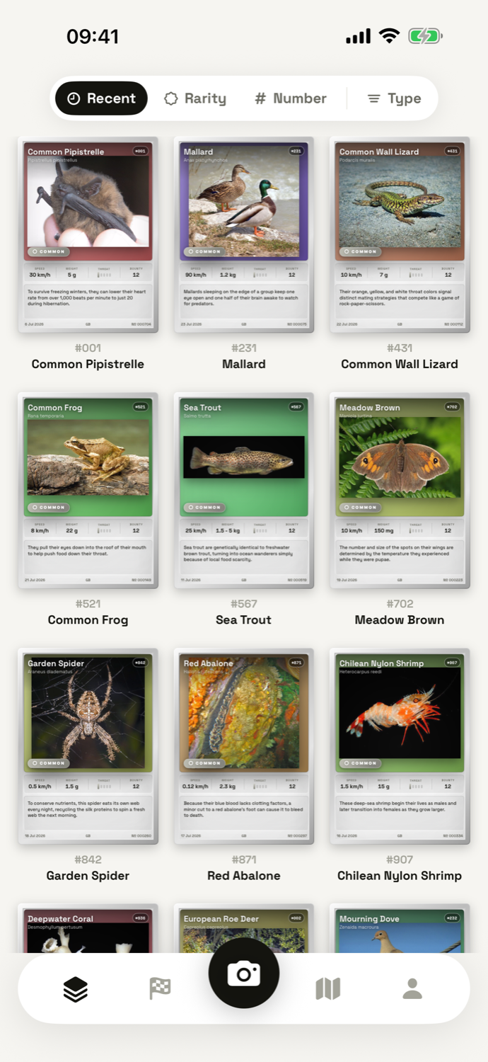 A grid of collected animal cards, each with the player's own photo